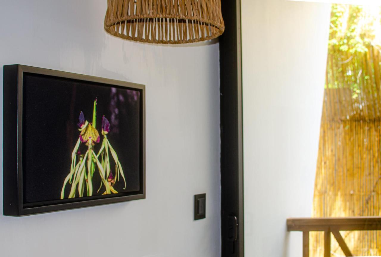 Ximena Hotel Boutique Sayulita Zewnętrze zdjęcie